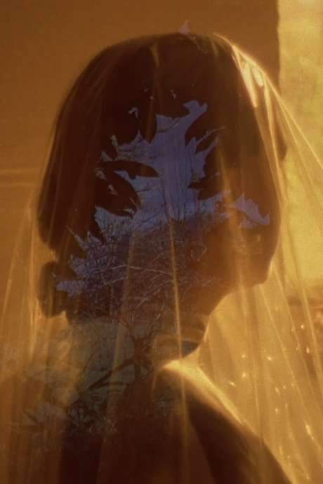 The film explores the unknown language received by twelfth-century German mystic Hildegard von Bingen. Beginning at Disibodenberg monastery, where the child Von Bingen was given as a tithe and interned, the narrative moves through diverse locations—from a narrator’s desktop to a London street teeming with birds. Accompanied by a score from Aotearoa musician Frances Duncan, the film speculates on the language’s potential prophetic significance for a future marked by environmental decline and technological dependence, questioning the power of renaming through evocative language.